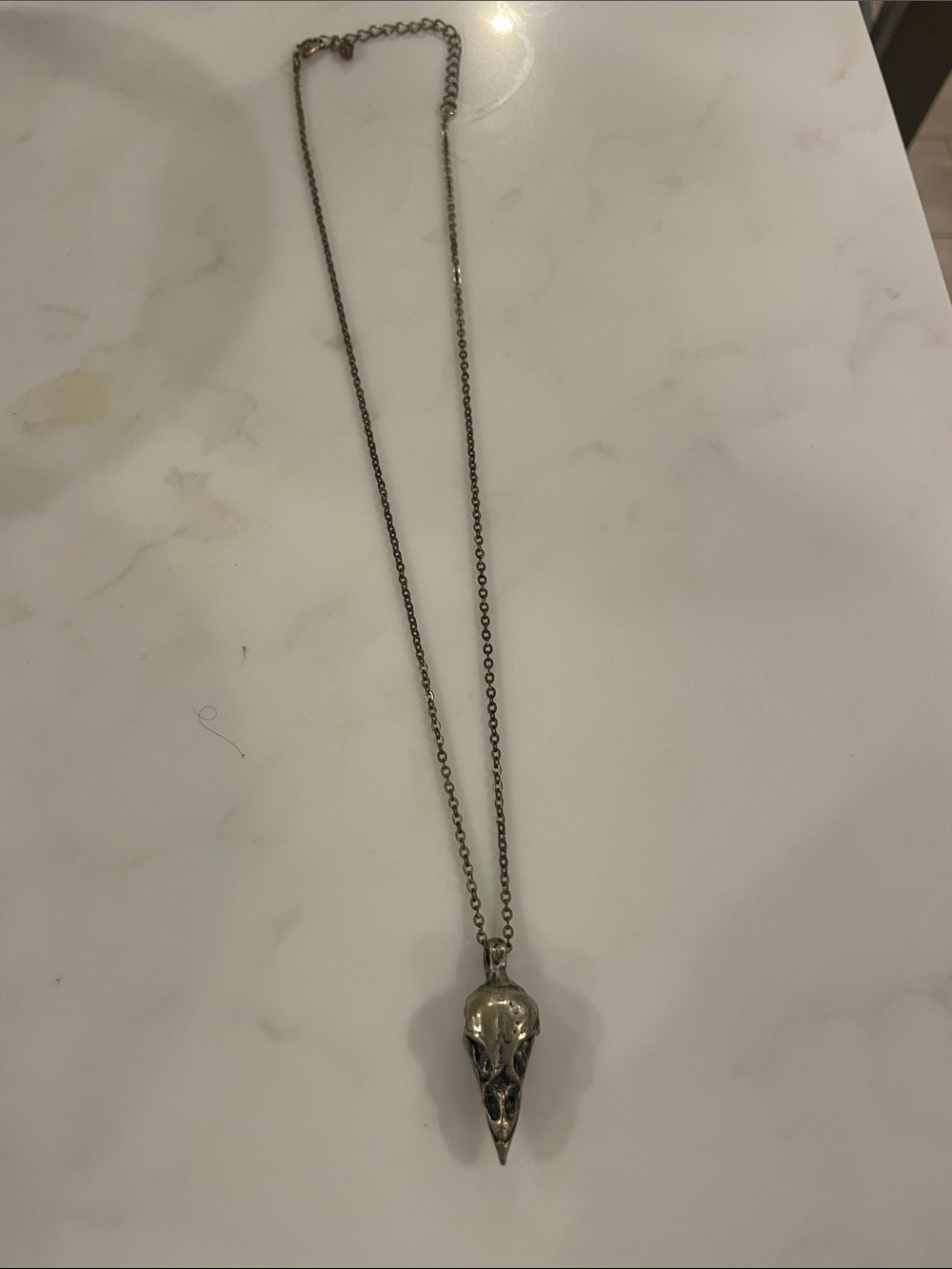 Silver-Tone Bird Skull Pendant Necklace - Sleek Gothic Jewelry